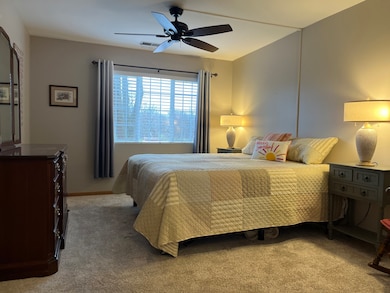 Village Green Condominiums unit 216, East Dundee, IL 60118 - photo 7