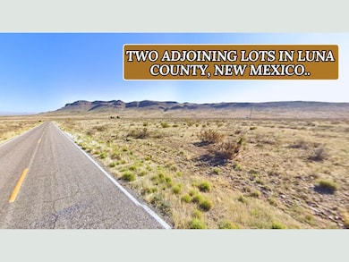 Deming Lun unit a New Mexico, Sunshine, NM 88030 - photo 7