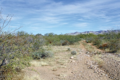 10 Acres E Roadrunner Lot D Ln unit D, Pearce, AZ 85625 - photo 5