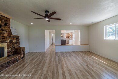 1436 E Blanco Blvd, Bloomfield, NM 87413 - photo 6
