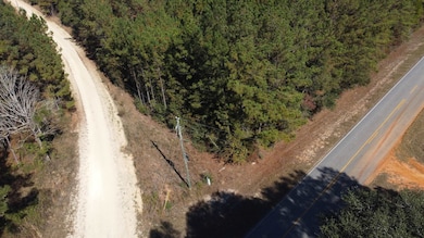 001 Open Pond Rd, Florala, AL 36442 - photo 7