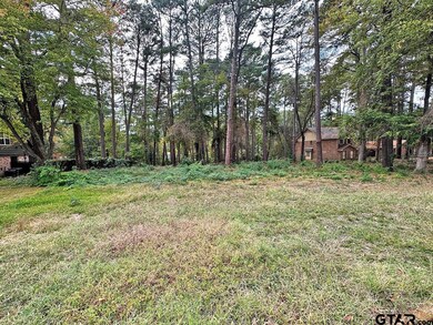 9075 Elm Tree Cir, Tyler, TX 75703 - photo 3