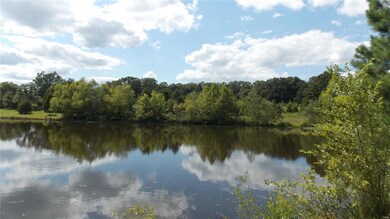 0 County Road 422, Epps Township, MO 63901 - photo 6