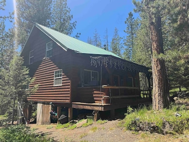 22584 Meadows Ln, Winchester, ID 83555 - photo 5