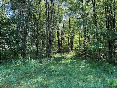 33 Austin Rd, Albion, NY 13302 - photo 2