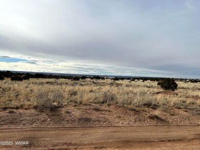 IMG-0808