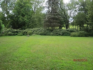 Yard/Garden.