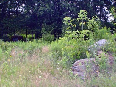 Land/Lot. Bordered By Mature Trees...