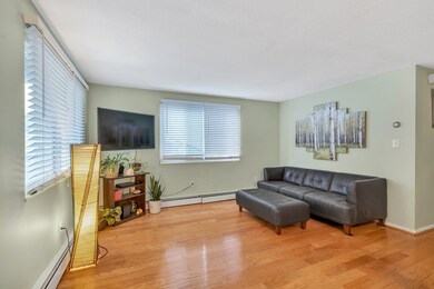 12 Arbutus St, Dorchester Center, MA 02124 - photo 4