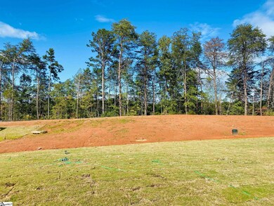 9 Gaskins Trail unit Homesite 22, Travelers Rest, SC 29690 - photo 4
