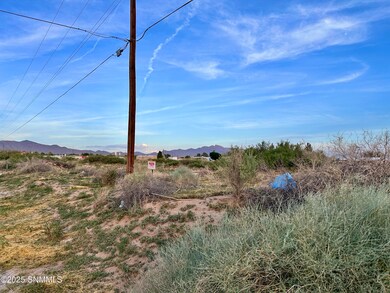 TBD Shrode Rd, Anthony, NM 88021 - photo 4