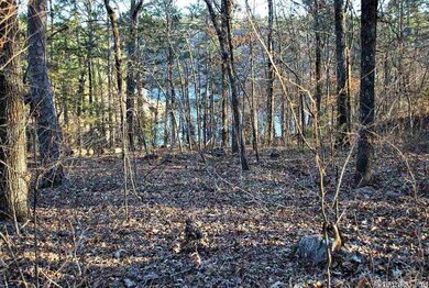 00 Lookout Dr, Tumbling Shoals, AR 72581 - photo 6