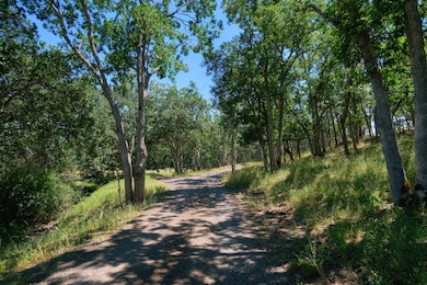 Firebird Farms_06