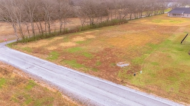 0 Watson Ct unit RTC3051929, Leoma, TN 38468 - photo 3