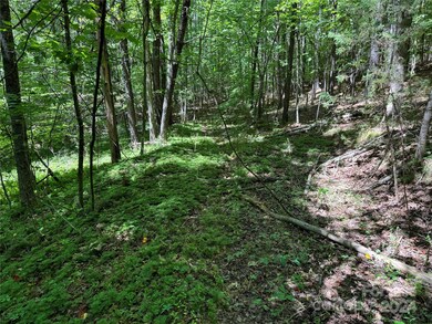 0 Edgerton Rd, Mill Spring, NC 28756 - photo 6