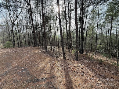 TBD Buck Mountain Rd unit 21, Purlear, NC 28665 - photo 3