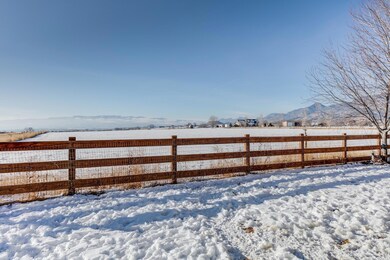 Backyard View
