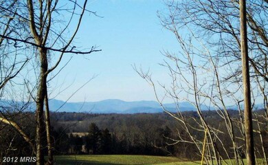 0 Mt Pisgah Church Rd unit 1003863084, Orange, VA 22960 - photo 3