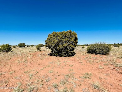 6868 Lasso Loop Photo 2