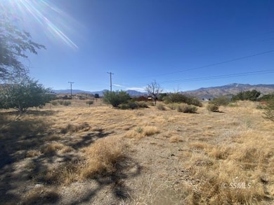 8521 Fremontia Way, Weldon, CA 93240 - photo 5