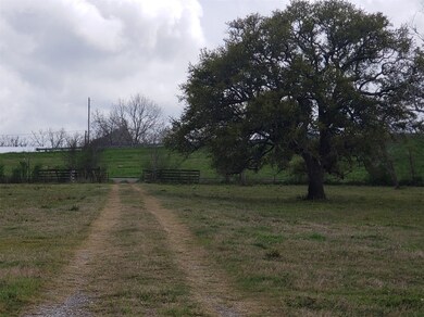 3199 Fm 521 Rd, Brazoria, TX 77422 - photo 4