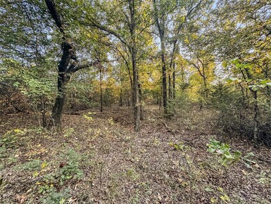 00011 E 1060 Rd, McLoud, OK 74851 - photo 7