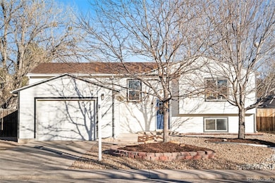 922 Park View St, Castle Rock, CO 80104 - photo 2