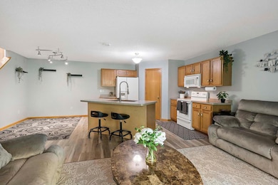 20048 Cabrilla Way Farmington MN_0019.jpg