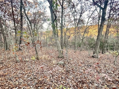 Missouri hardwoods & hunting right down the road.
