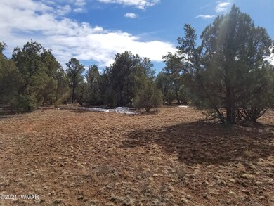 0 Power Line Rd unit 233867, Overgaard, AZ 85933 - photo 2