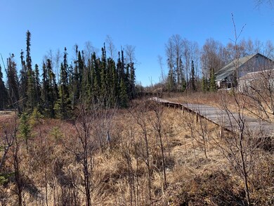 View looking up from the lake