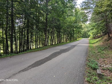 745 Hunters Run Rd, Townsend, TN 37882 - photo 3