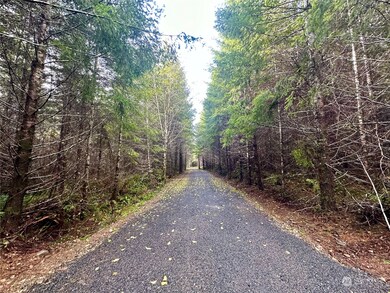 15 W Ford Rd unit Lot 3, Matlock, WA 98560 - photo 4