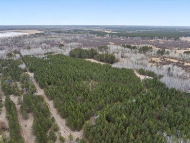 19146 320th St, Sebeka, MN 56477 - photo 3