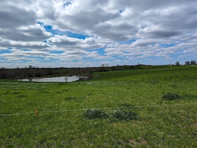 29592 McGruder Creek Rd, Leon, IA 50144 - photo 3