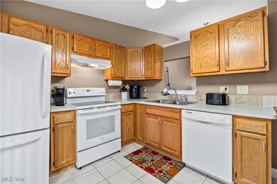 8834 Holly Ln, Olmsted Falls, OH 44138 - photo 6