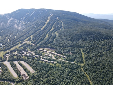 DJI_0323