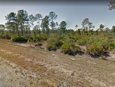 2145 Winnetka Dr, Lehigh Acres, FL 33972 - photo 4