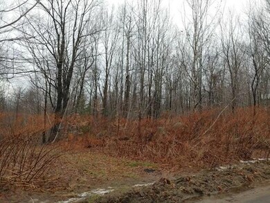 0 W St Ann St W unit 203644, St. Regis Falls, NY 12980 - photo 3