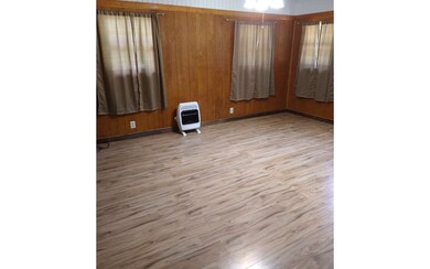 3213 Lower Cartecay Rd, Ellijay, GA 30536 - photo 3