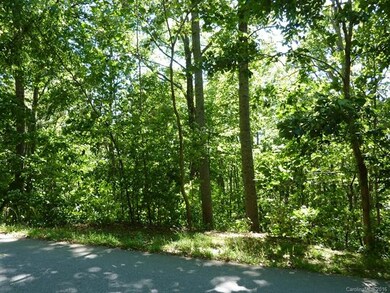 Street to Street .85 Acre Lot