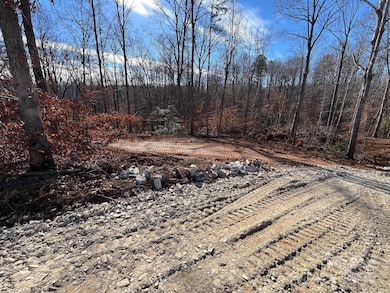 000 Hudlow Rd unit 3, Forest City, NC 28043 - photo 5