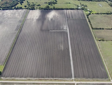 1010 County Road 23, Damon, TX 77430 - photo 4