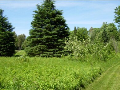 Lot 14 A Crescent Beach Extension, Morgan, VT 05853 - photo 3