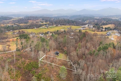 9999 Gizmo Trail, Leicester, NC 28748 - photo 2