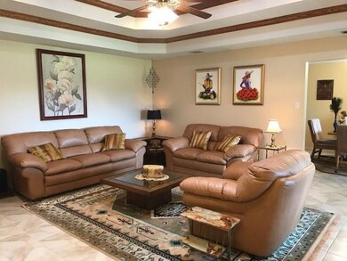 319 Rebecca Dr, Alamo, TX 78516 - photo 7