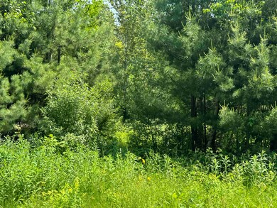 3 Brookside Dr, Grantham, NH 03753 - photo 6