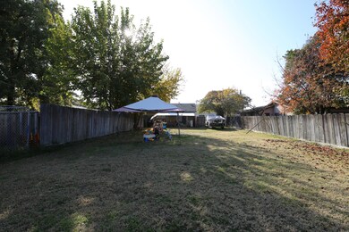 backyard1