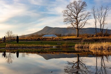 Lot-71 Boxer Loop, McGaheysville, VA 22840 - photo 3