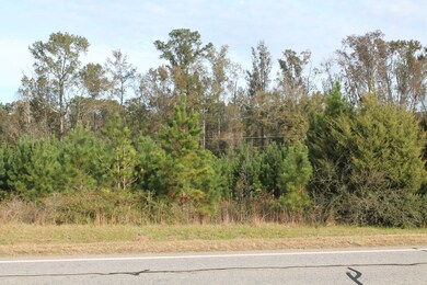 TBD U S 280 W, Americus, GA 31709 - photo 7